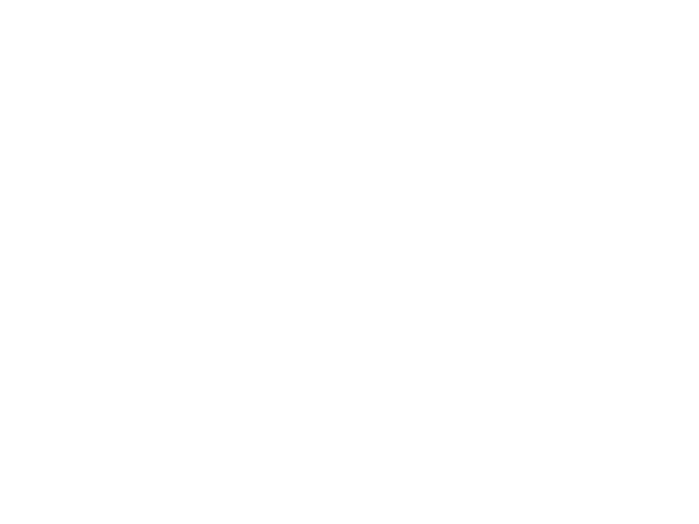 logo TROMA MACH